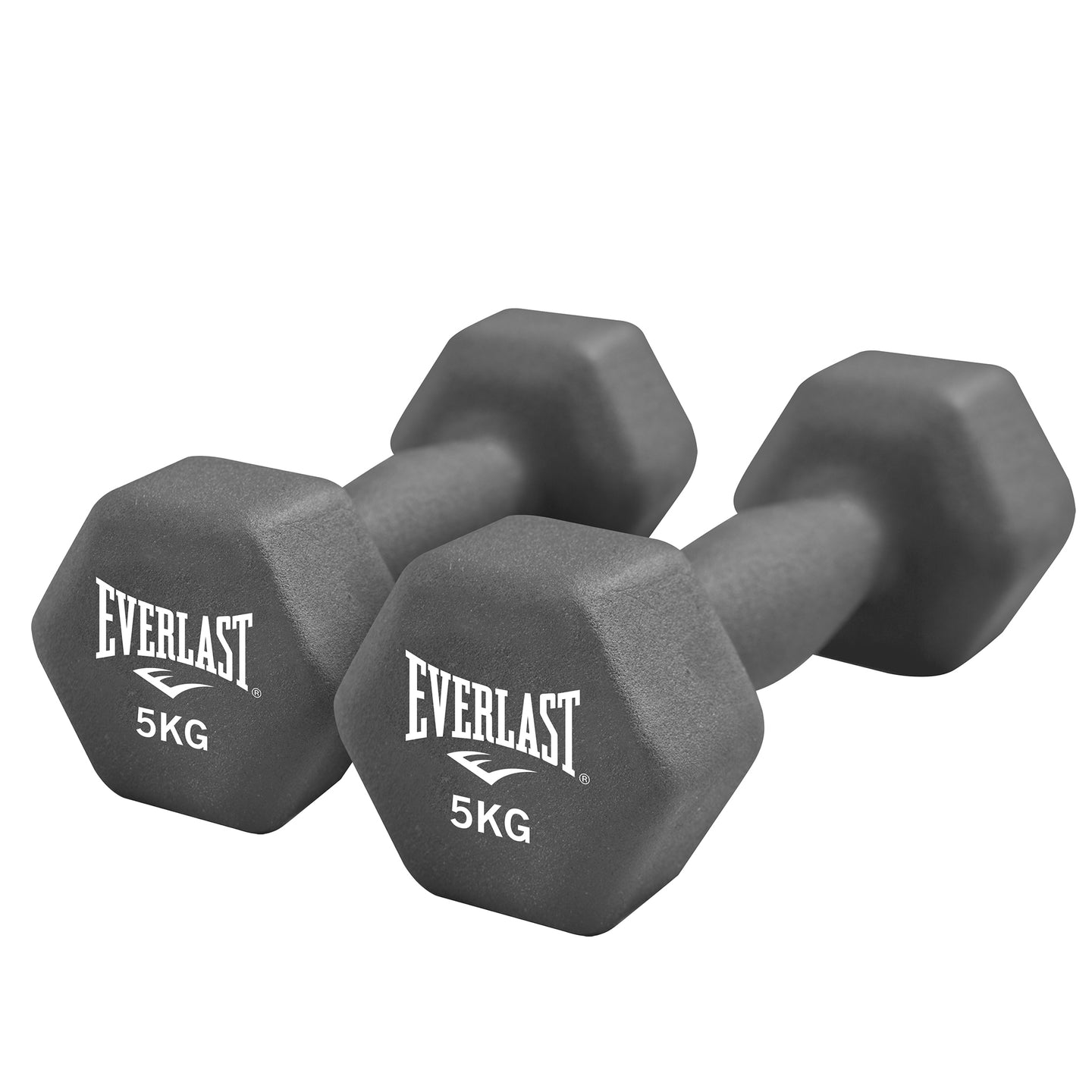 PAIR OF 5KG DUMBBELLS